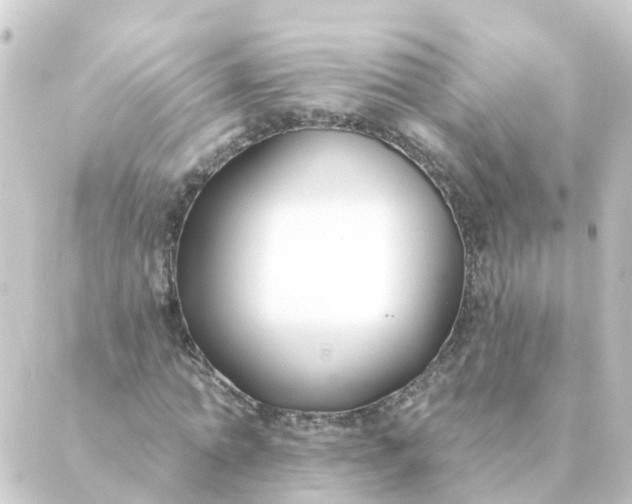 X0000088880774200706221813