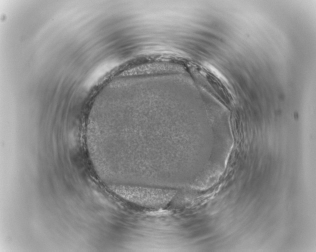 X0000088880775200706221813