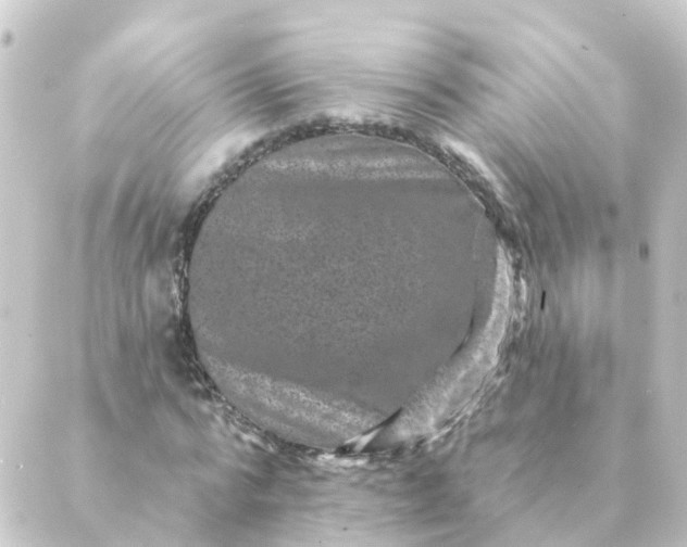 X0000088880776200706221813