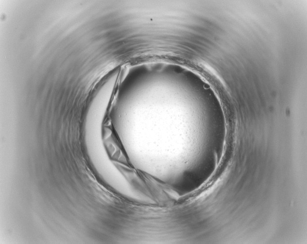 X0000088880777200706221813