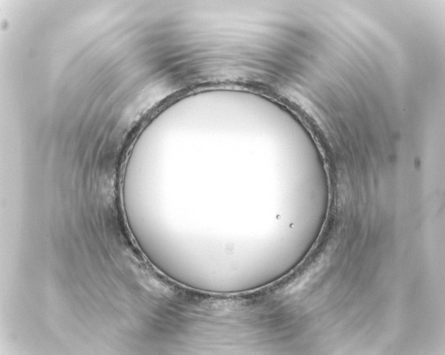 X0000088880778200706221813