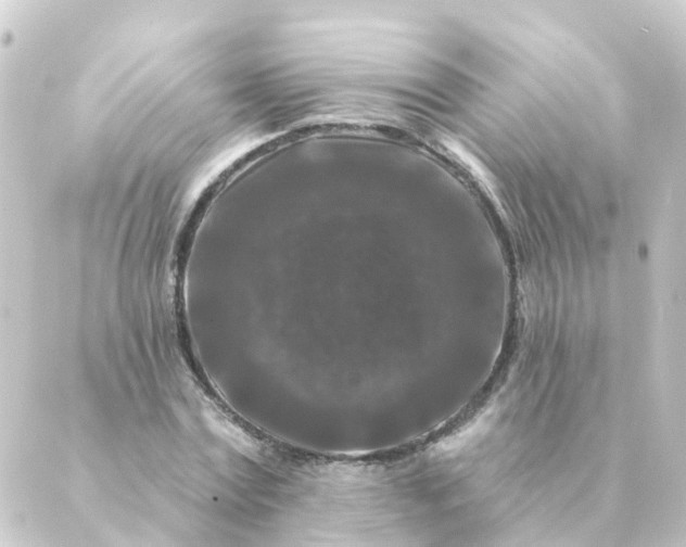 X0000088880779200706221813