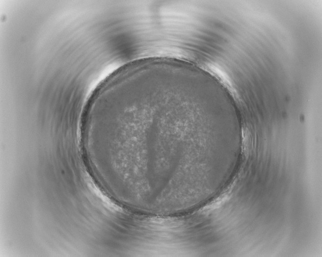 X0000088880780200706221813