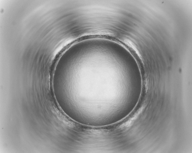 X0000088880781200706221813