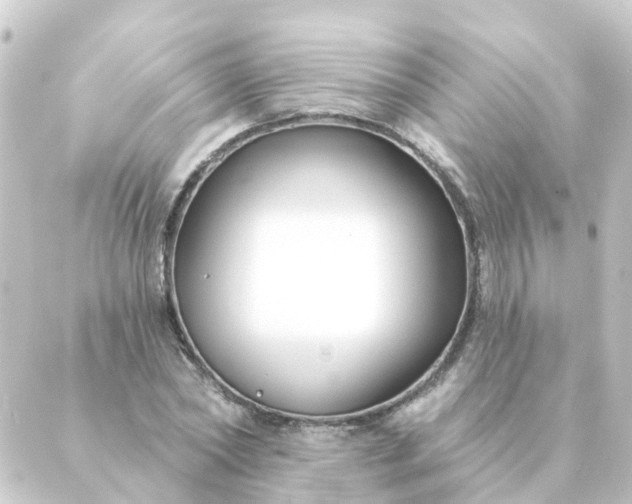 X0000088880782200706221813