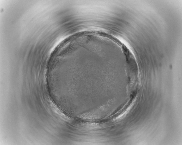 X0000088880783200706221813