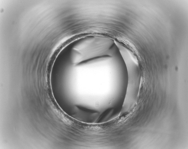 X0000088880784200706221813