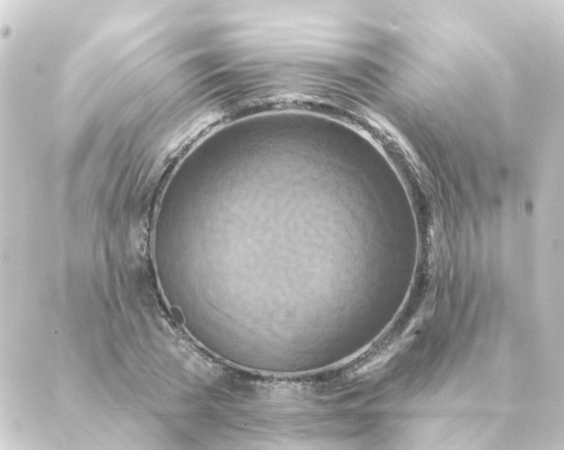 X0000088880785200706221813