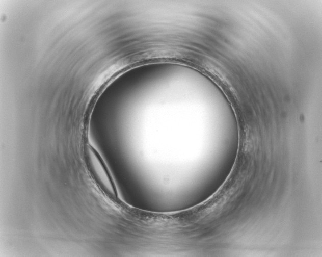 X0000088880786200706221813