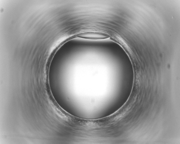 X0000088880787200706221813