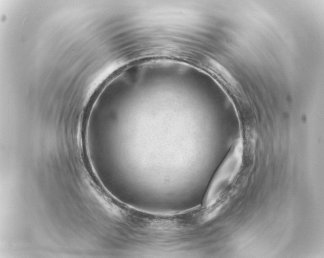 X0000088880788200706221813