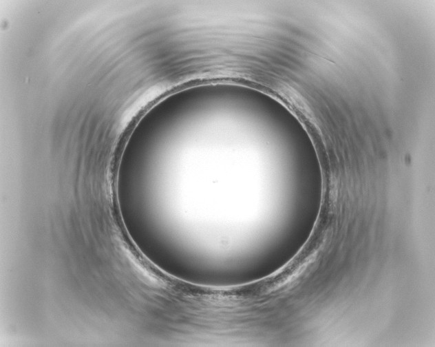 X0000088880789200706221813