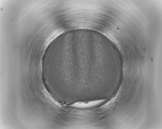 X0000088880790200706221813