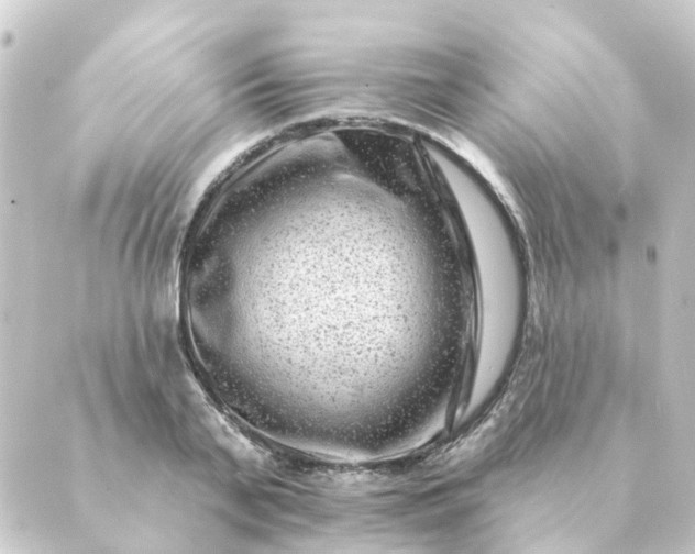 X0000088880791200706221813