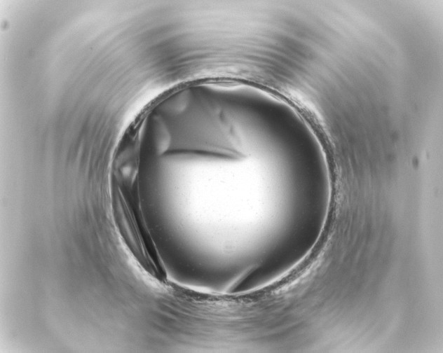 X0000088880792200706221813