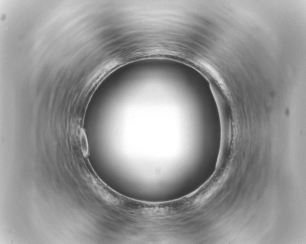 X0000088880793200706221813