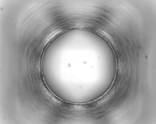 X0000088880794200706221813