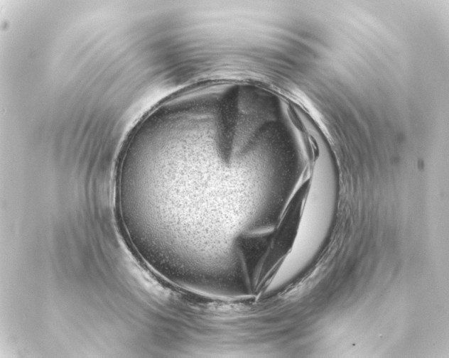 X0000088880795200706221813