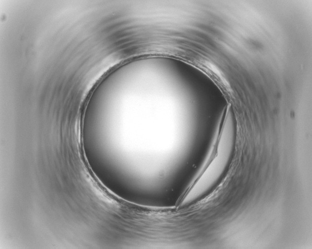 X0000088880796200706221813