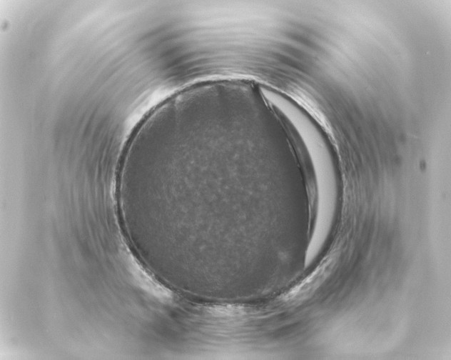 X0000088880797200706221813