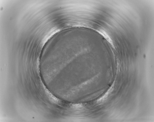 X0000088880798200706221813