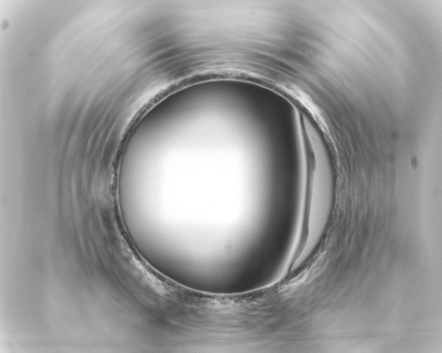 X0000088880799200706221813