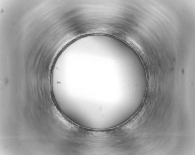 X0000088880800200706221813