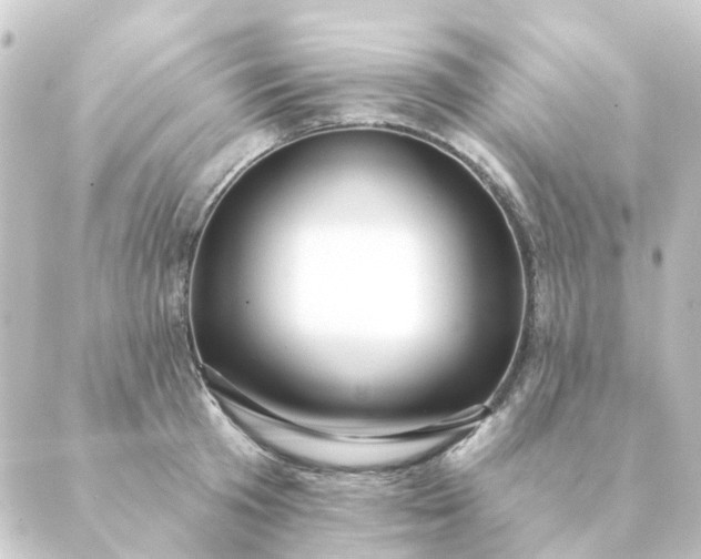 X0000088880801200706221813