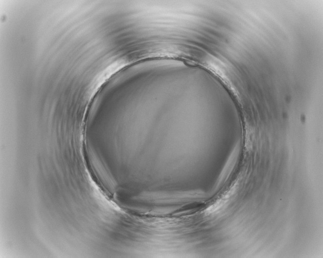 X0000088880802200706221813