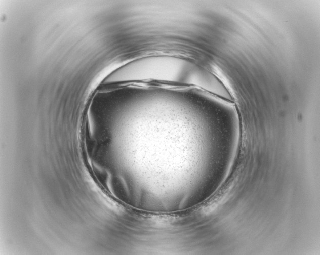 X0000088880803200706221813