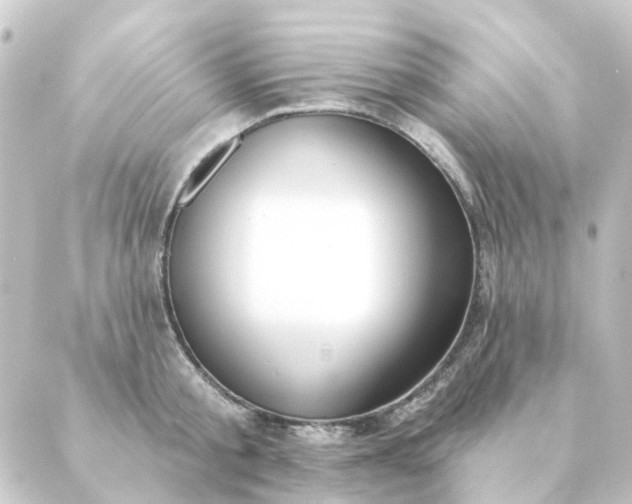 X0000088880805200706221813