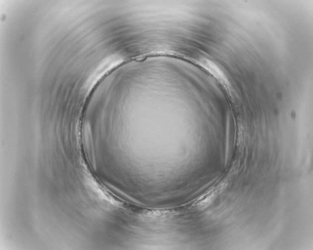 X0000088880806200706221813