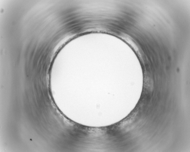 X0000088880807200706221813