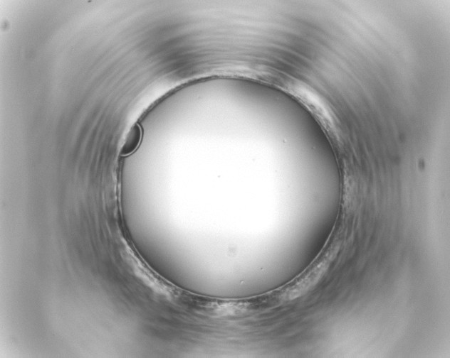 X0000088880808200706221813