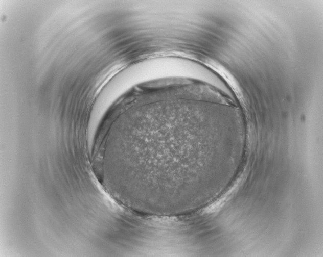 X0000088880809200706221813