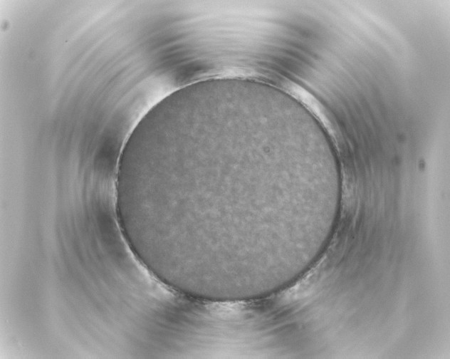 X0000088880810200706221813