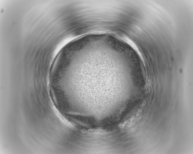 X0000088880811200706221813