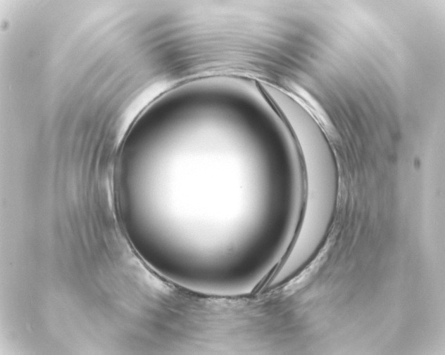 X0000088880812200706221813