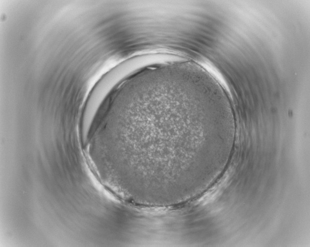 X0000088880813200706221813