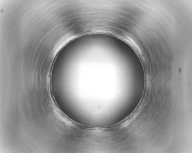 X0000088880814200706221813