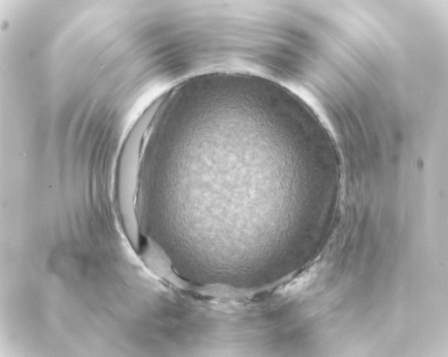 X0000088880815200706221813