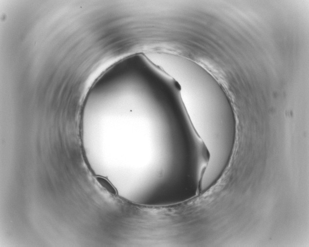 X0000088880816200706221813