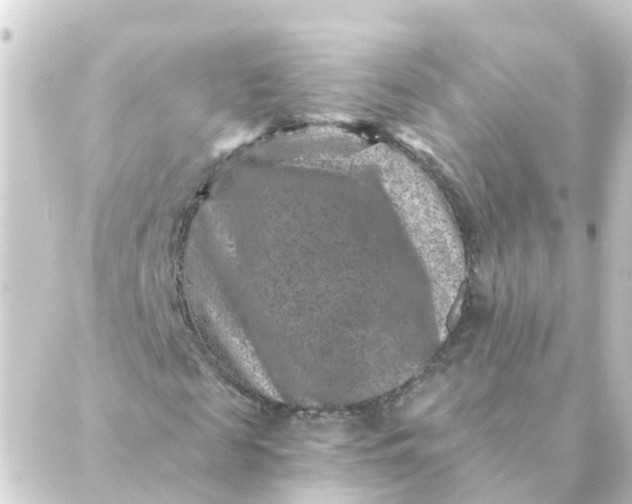 X0000088880817200706221812