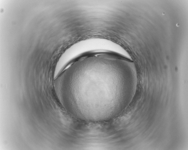 X0000088880818200706221812