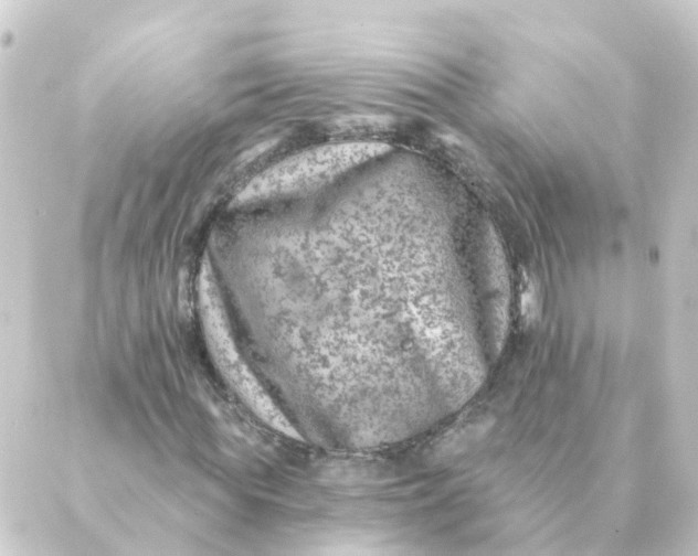 X0000088880819200706221812