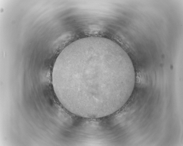 X0000088880820200706221812