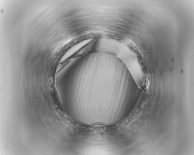 X0000088880822200706221812