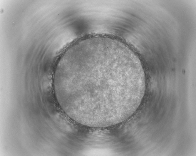 X0000088880824200706221812