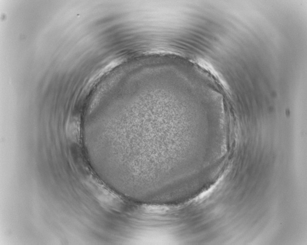 X0000088880825200706221812