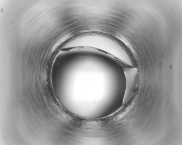 X0000088880826200706221812